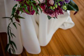 Faith & Feathers - 6