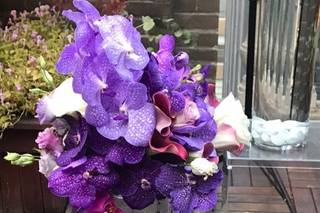 Manhattan Garden - 9