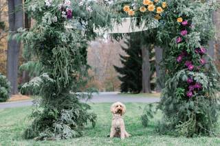 Happy Bark & Tails - 29