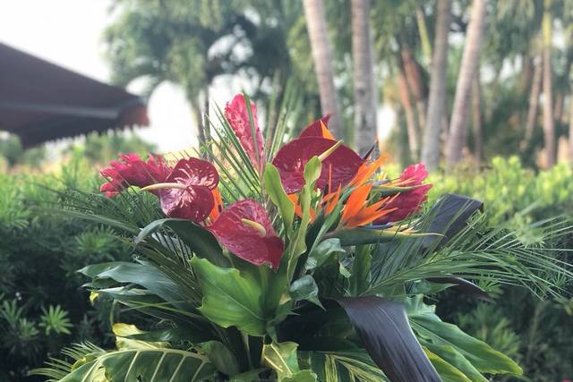 Hayal Flowers Design & Events 2