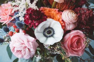The Flower Cupboard - 11