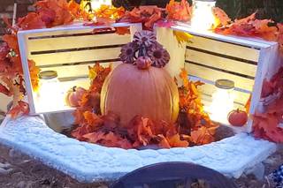 Dream Co. Weddings & Events - 34