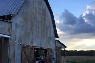 Starlight Meadow - 34