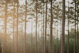 Johanna Lakin Photography - 5