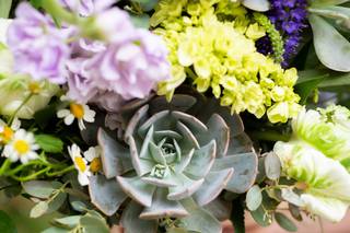 Sassy Snapdragon Florals - 43