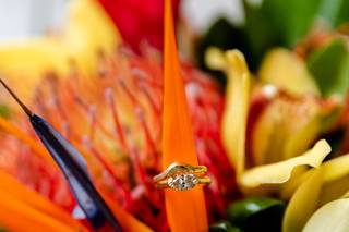 Tessfresh and Tessilk Flowers - 17