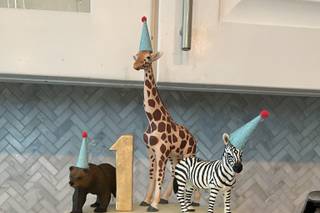 Elizabeth Graf Cakes - 11