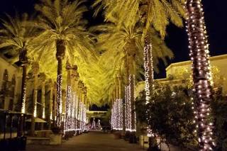 Arizona Grand Resort & Spa - 24