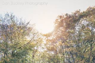 Dan Buckley Photography - 6