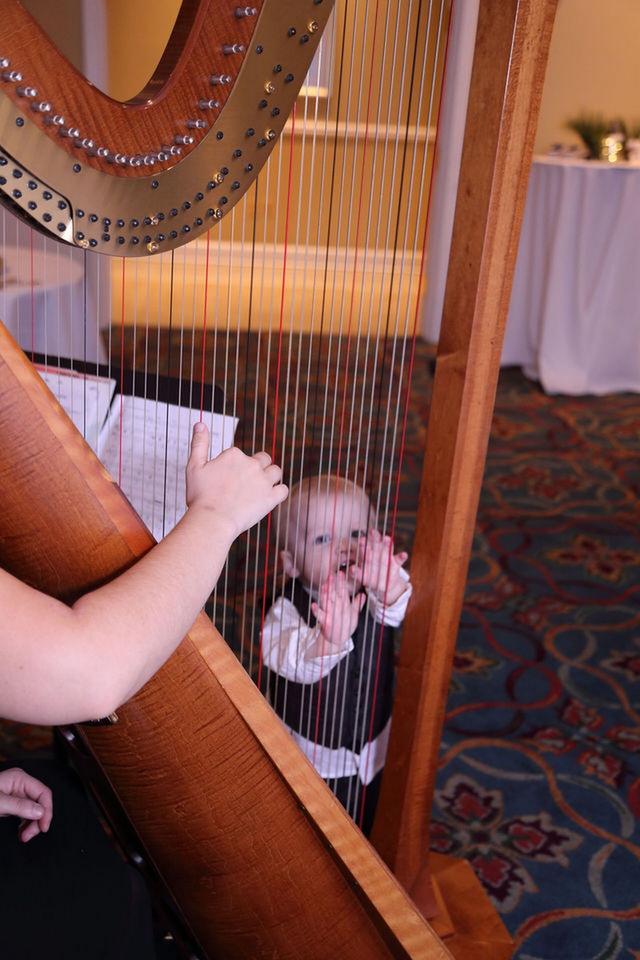 Harp Music by Alexandra Mullins - 1