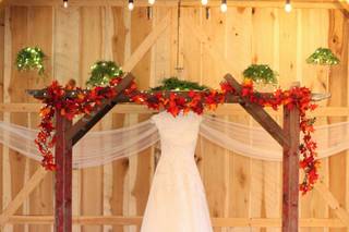 White Pine Grove - 28