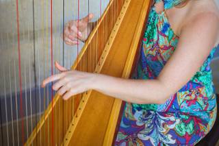 Adrianna Wolaver, Harpist - 6
