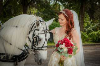 Lana Hollins Photography & Art - 46