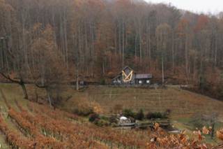 The Vineyard at High Holly - 16