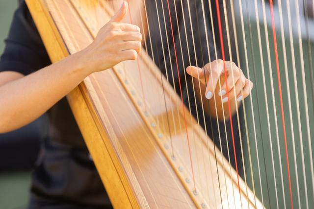 Adrienne Knauer Harpist - 3