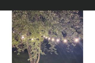 The Farm Bakery & Events - 77