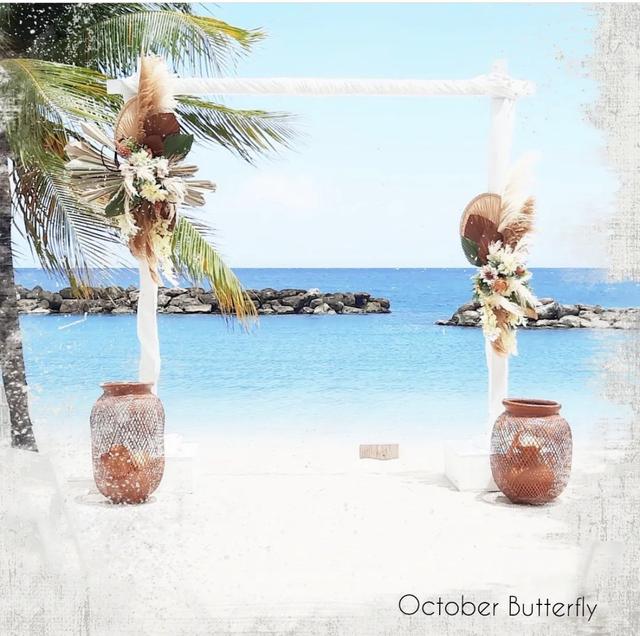 October Butterfly - 4