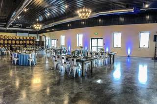 Bella Terra Vineyards - 85