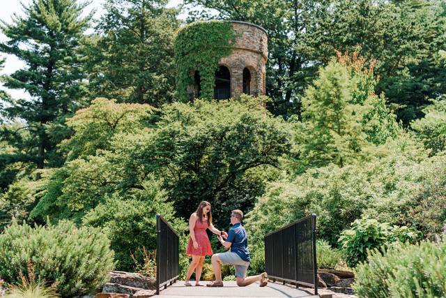 Josiah & Steph Photography 3