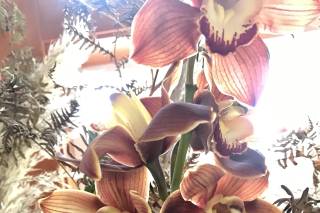 Oak and Fig Floral - 20