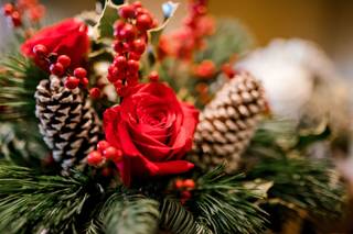 Hirt's Flowers - 7