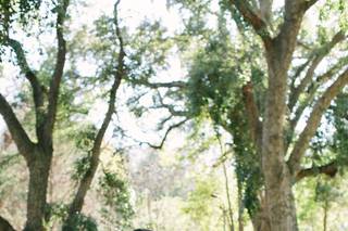 Anna Perevertaylo Photography - 44