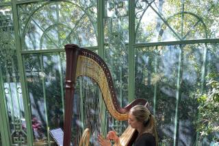 Abigail Enssle, Harpist - 9