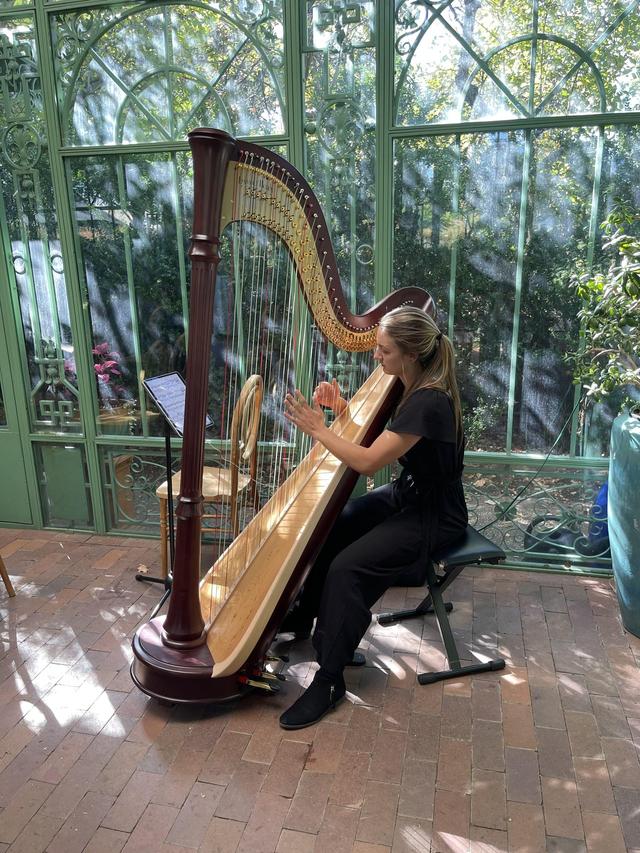 Abigail Enssle, Harpist - 1