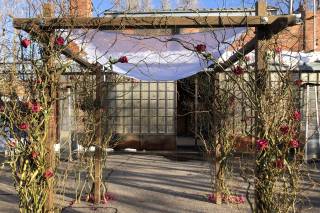 Wildwood Floral - 27