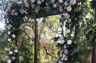 Lovely Peonies - 137