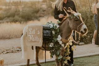 Haul N Ass Productions - 149