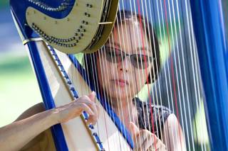 Harp Music By Vonette & Musical Networks - 6