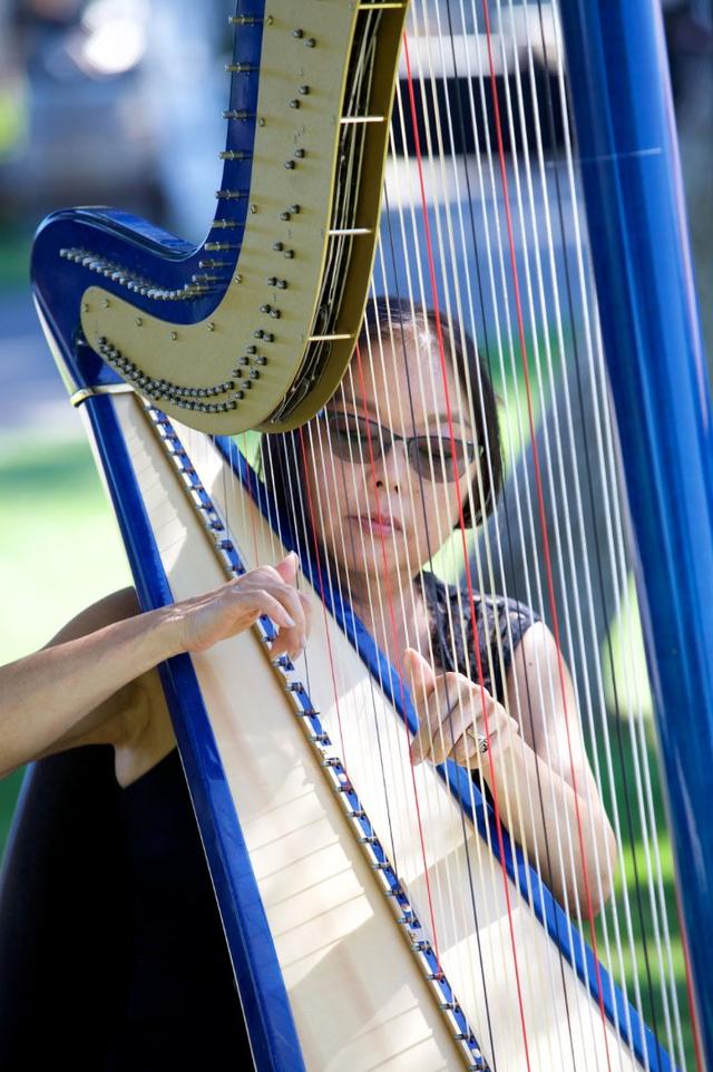 Harp Music By Vonette & Musical Networks - 1