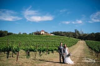 David Girard Vineyards - 10