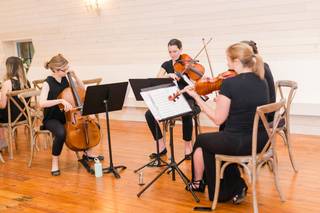 Arioso Strings - 10