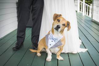 Joe Dolen Photography - 30