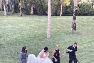 Lisa Marshall Photography - 8