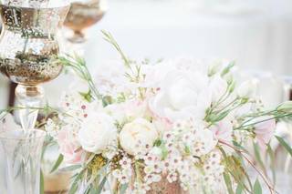 Alexa Elizabeth Design - 15