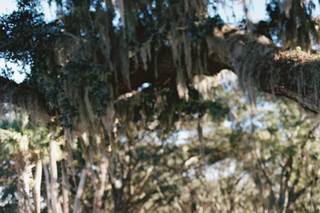 Agapae Oaks Weddings - 16