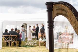 Photo Harp Weddings - 95