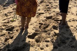 The Hawaiian Minister - 26
