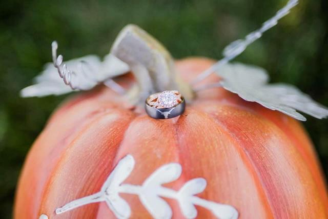 MPR Photography - 2