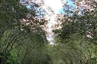 Country Club of Ocala - 20