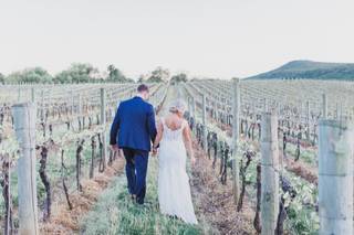 Big Cork Vineyards - 30