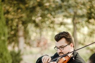Puget Sound Strings - 11