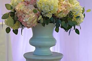 Domenic Graziano Flowers & Gifts - 29