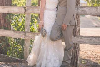 Linda Atkins Photography - 7