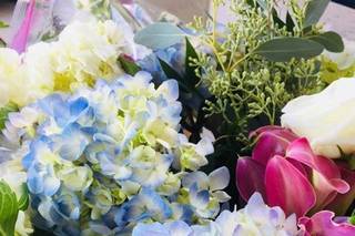 Forget Me Nots Fine Floral & Gifts - 16