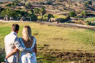 San Diego Zoo Wildlife Alliance - 59