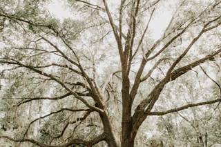 Southern Charm Events - 12